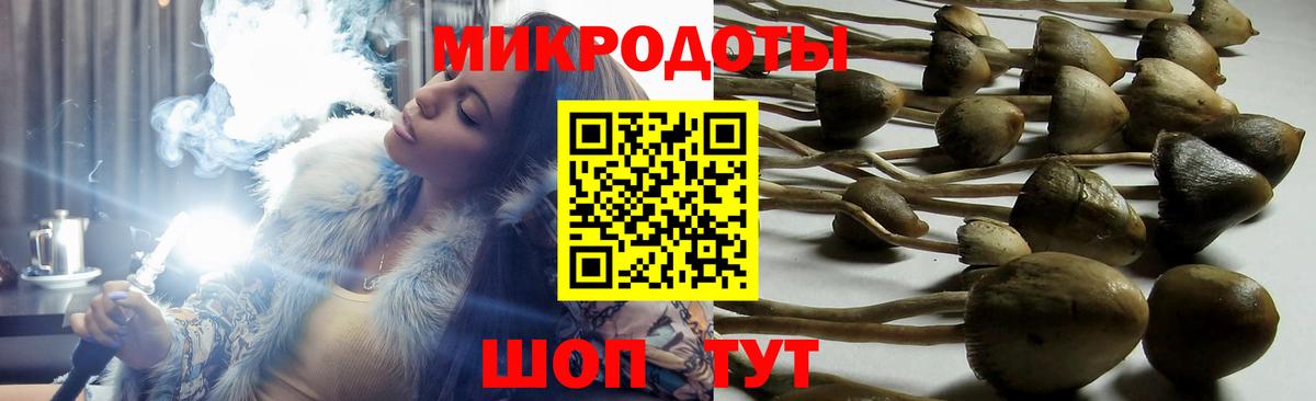 Псилоцибиновые грибы Magic Shrooms Братск